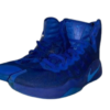 Nike Hyperdunk 2016 “Game Royal”